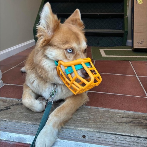 Dog The Muzzle Movement For Reactive Dogs Orange And Teal Neli Size Poshmark